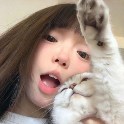 枪影世界